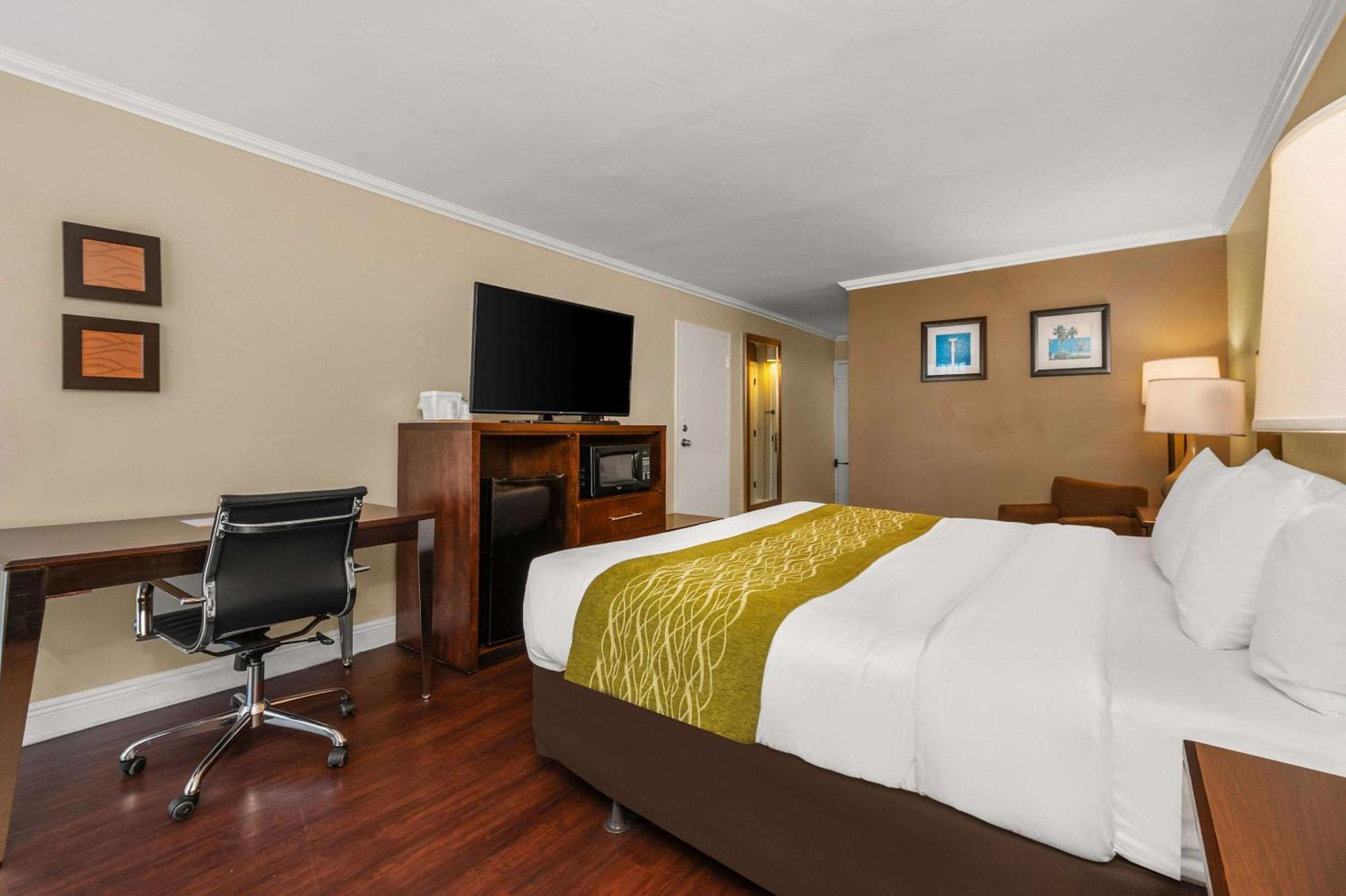Comfort Inn Oceanside Deerfield Beach Dış mekan fotoğraf